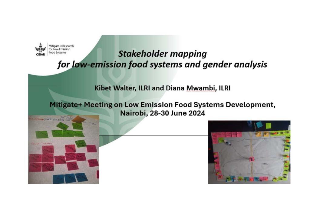 Stakeholder mapping for low-emission food systems and gender analysis