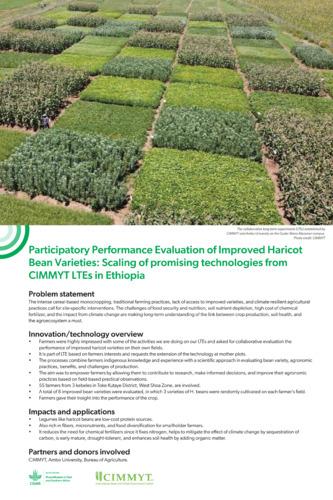 Participatory Performance Evaluation of Improved Haricot Bean Varieties: Scaling of promising technologies from CIMMYT LTEs in Ethiopia