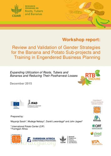 Review and validation of gender strategies for the banana and potato sub-projects and training in engendered business planning.