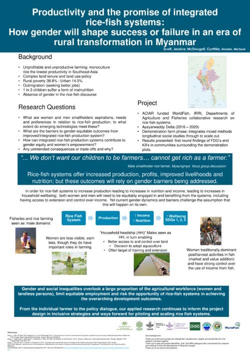 Productivity and the promise of integrated rice-fish systems: How gender will shape success or failure in an era of rural transformation in Myanmar