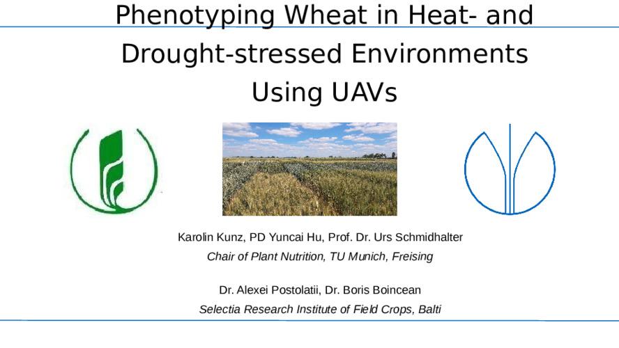 Phenotyping Wheat in Heat and Drought Stressed Environments Using UAVs
