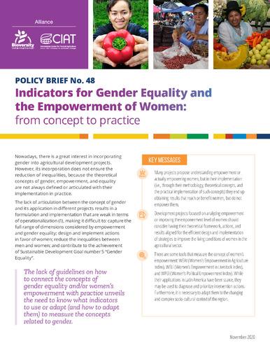 Indicators for gender equality and the empowerment of women: from concept to practice