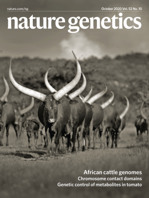 The mosaic genome of indigenous African cattle as a unique genetic resource for African pastoralism