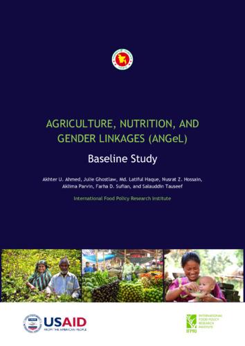 Agriculture, Nutrition, and Gender Linkages (ANGeL) Baseline Study