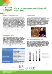 The women's empowerment in livestock index