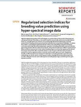 Regularized selection indices for breeding value prediction using hyper-spectral image data