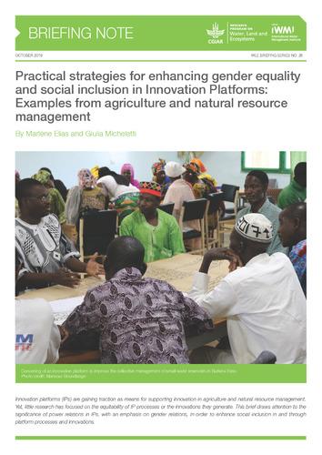 Practical strategies for enhancing gender equality and social inclusion in Innovation Platforms: Examples from agriculture and natural resource management