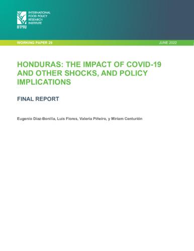 Honduras: The impact of COVID-19 and other shocks, and policy implications: Final report