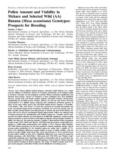Pollen amount and viability in Mchare and selected wild (AA) banana (Musa acuminata) genotypes: prospects for breeding