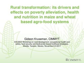 Rural transformation: its drivers and effects on poverty alleviation, health and nutrition in maize and wheat based agro-food systems