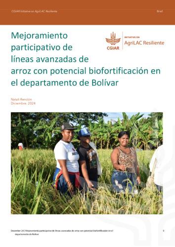 Mejoramiento participativo de líneas avanzadas de arroz con potencial biofortificación en el departamento de Bolívar
