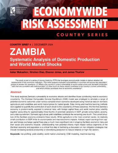 Zambia: Systematic analysis of domestic production and world market shocks