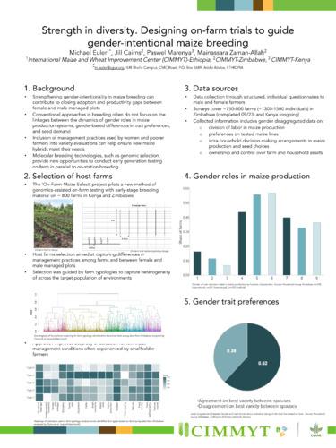 Strength in diversity: Designing on-farm trials to guide gender-intentional maize breeding
