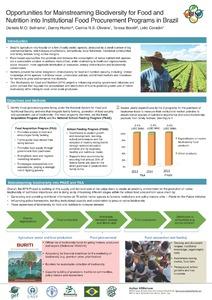 Opportunities for mainstreaming biodiversity for food and nutrition into institutional food procurement programs in Brazil