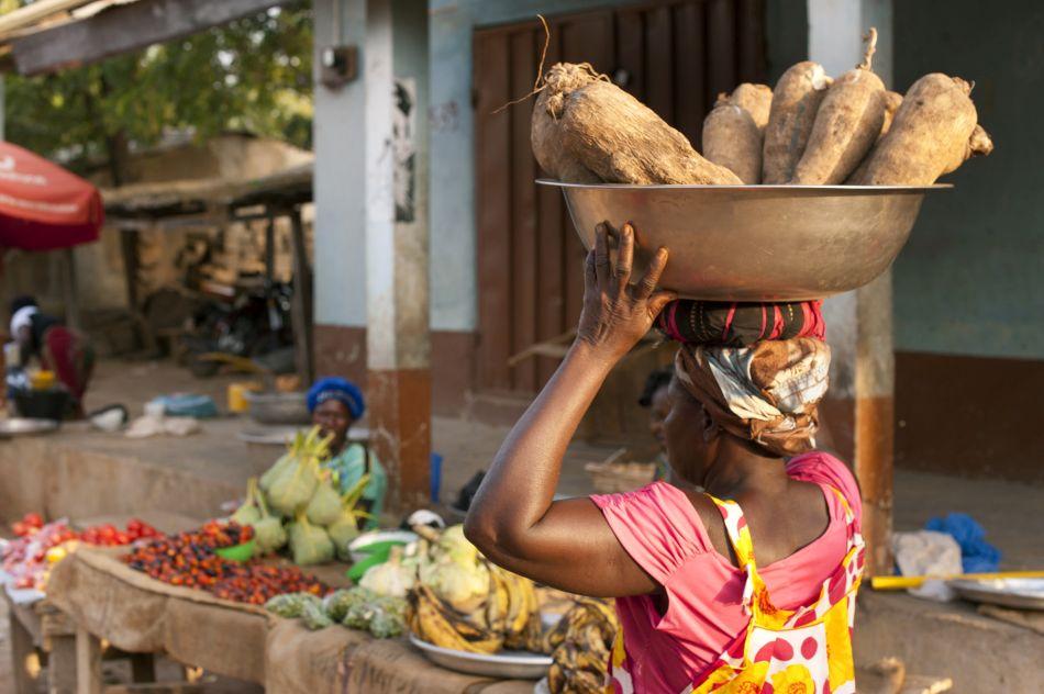 Ukama Ustawi: accelerating inclusive agribusiness in East and southern Africa