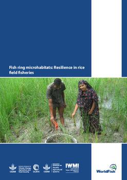Fish ring microhabitats: Resilience in rice field fisheries