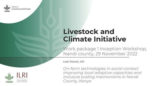 On-farm technologies in social context: Improving local adaptive capacities and inclusive scaling mechanisms in Nandi County, Kenya