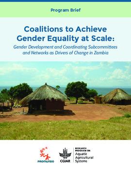Coalitions to achieve gender equality at scale: Gender development and coordinating subcommittees and networks as drivers of change in Zambia