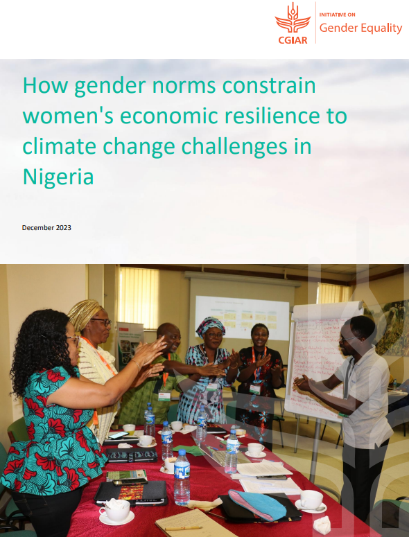 How gender norms constrain women's economic resilience to climate change challenges in Nigeria