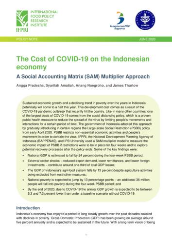 The cost of COVID-19 on the Indonesian economy: A Social Accounting Matrix (SAM) multiplier approach