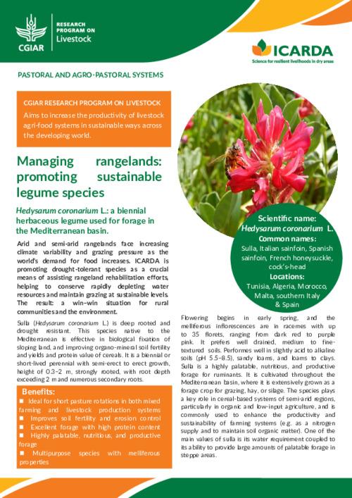Managing rangelands: promoting sustainable legume species: Hedysarum coronarium L.: a biennial herbaceous legume used for forage in the Mediterranean basin