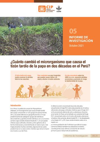 ¿Cuánto cambió el microrganismo que causa el tizón tardío de la papa en dos décadas en el Perú? Informe de investigación 05