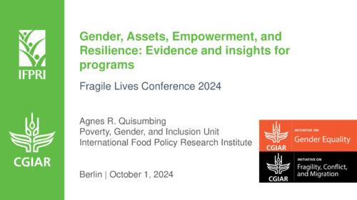 Gender, assets, empowerment, and resilience: Evidence and insights for programs