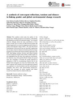 A synthesis of convergent reflections, tensions and silences in linking gender and global environmental change research