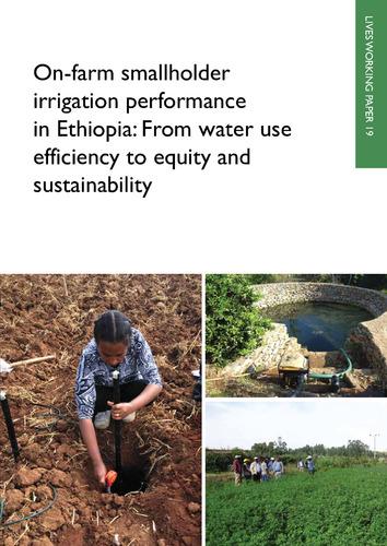 On-farm smallholder irrigation performance in Ethiopia: From water use efficiency to equity and sustainability