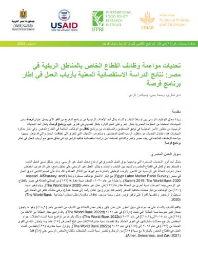 Challenges for private sector job matching in rural Egypt: Results from a survey of forsa employers