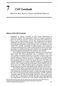 CIAT genebank