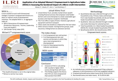 Application of an adapted Women’s Empowerment in Agriculture Index (WEAI) in assessing the gendered impact of a micro-credit intervention