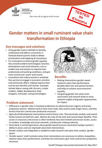 Gender matters in small ruminant value chain transformation in Ethiopia