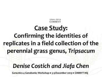 Case study: Confirming the identities of replicates in a field collection of the perennial grass genus, Tripsacum