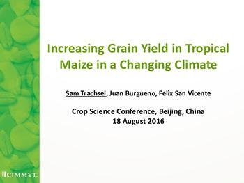 Increasing grain yield in tropical maize in a changing climate