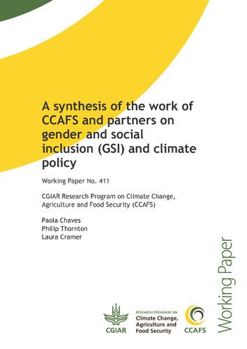 A synthesis of the work of CCAFS and partners on gender and social inclusion (GSI) and climate policy