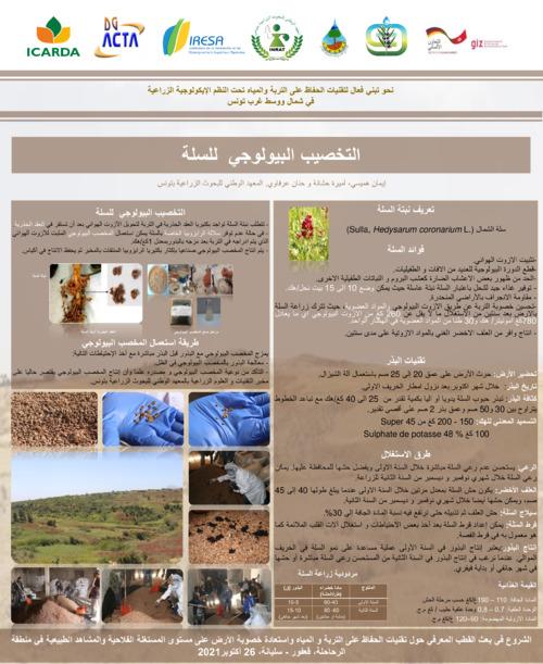 التخصيب البيولوجي للسلة / Reseeding Using Sulla, a Native Legume Forage Species (Hedysarum Coronarium) and its Rhizobial Inoculation Process