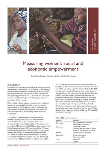 Measuring women’s social and economic empowerment