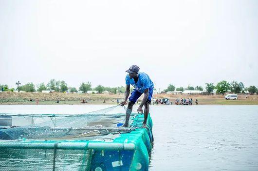 Youth-led aquaculture in Northern Ghana