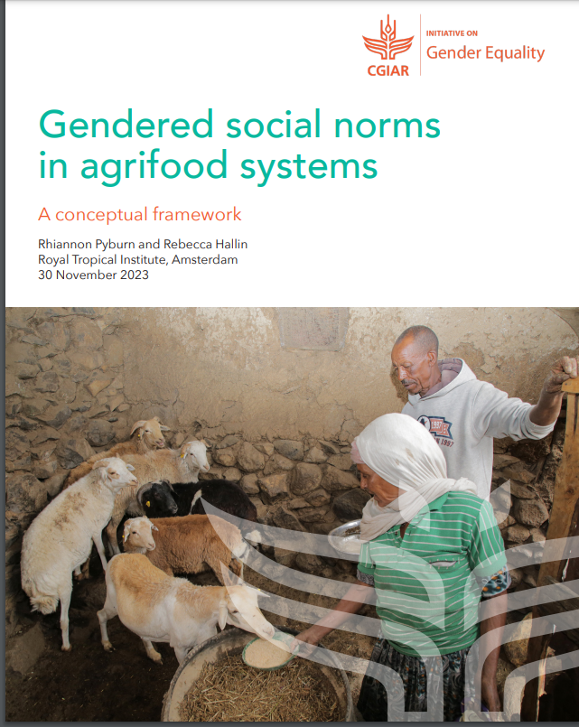 Gendered social norms in agrifood systems: A conceptual framework