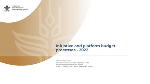 Initiative and platform budget processes - 2022