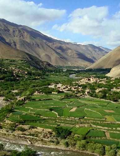 Regional developments [In 2016 Global Food Policy Report]