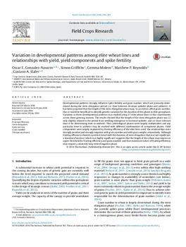 Variation in developmental patterns among elite wheat lines and relationships with yield, yield components and spike fertility