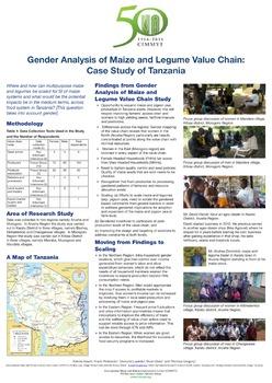 Gender analysis of maize and legume value chain: case study of Tanzania
