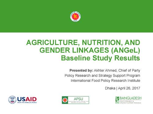 Agriculture, Nutrition, and Gender Linkages (ANGeL) Baseline Study Results