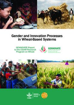 Gender and innovation processes in wheat-based systems