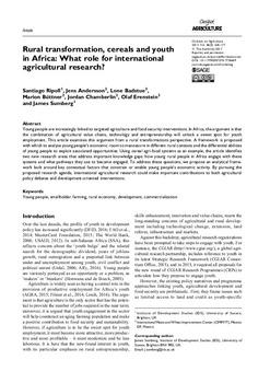 Rural transformation, cereals and youth in Africa: what role for international agricultural research?