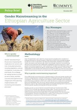 Gender mainstreaming in the Ethiopian agriculture sector