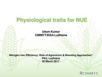 Physiological traits for NUE