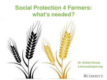 Social protection 4 farmers: what's needed?